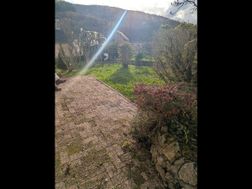 Photo n°2