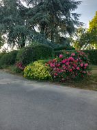Photo n°4