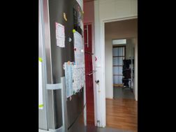 Photo n°6