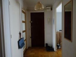 Photo n°5