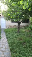 Photo n°2