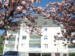 Photo n°5