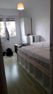 Photo n°6