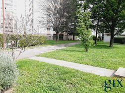 Photo n°5