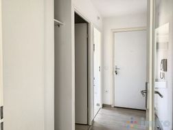 Photo n°6