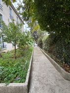 Photo n°1