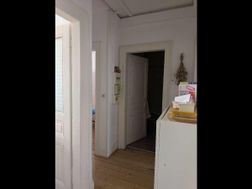 Photo n°4