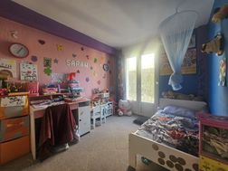 Photo n°6