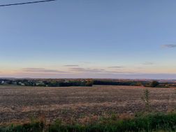 Photo n°5