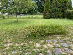 Photo n°5