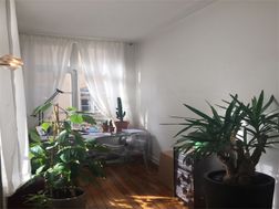Photo n°3