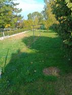 Photo n°3