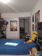 Photo n°2