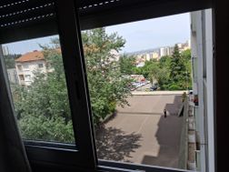 Photo n°6