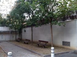 Photo n°2
