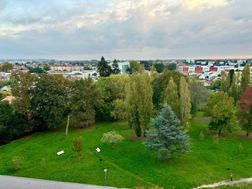 Photo n°6