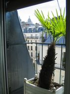 Photo n°1