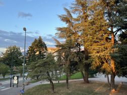 Photo n°2
