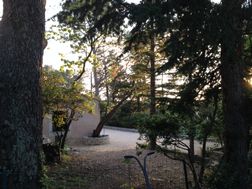 Photo n°1