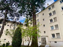 Photo n°8