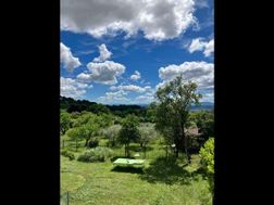 Photo n°3
