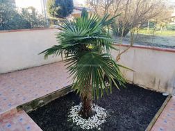 Photo n°2