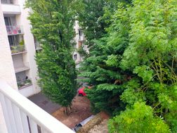 Photo n°6