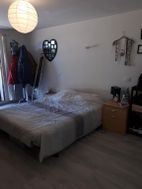 Photo n°6