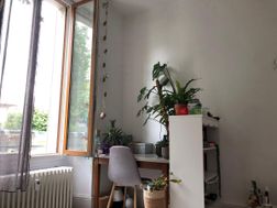 Photo n°5