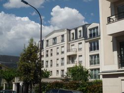 Photo n°8
