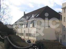 Photo n°6