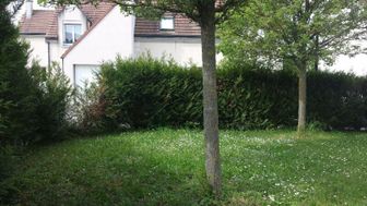 Photo n°6