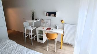 Photo n°6
