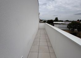 Photo n°15