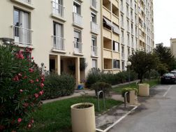 Photo n°1