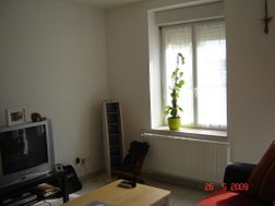 Photo n°3