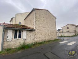 Photo n°6