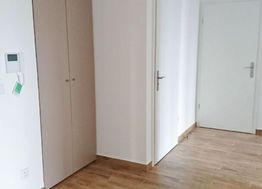Photo n°4