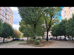 Photo n°6