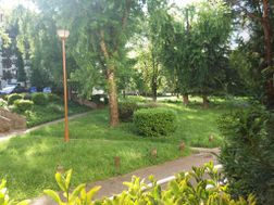 Photo n°6