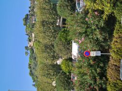 Photo n°6