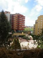Photo n°2