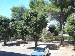 Photo n°1