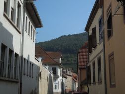 Photo n°1