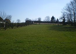 Photo n°2