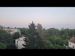 Photo n°6