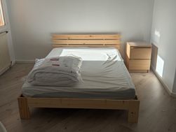 Photo n°4