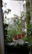 Photo n°2