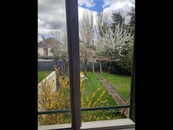 Photo n°6