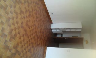 Photo n°4